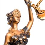 Litigation Procedures eBook by BookBaby Comprehensive Guide 246 Pages-0