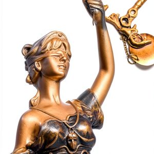 Litigation Procedures eBook by BookBaby Comprehensive Guide 246 Pages-0